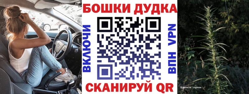 Каннабис семена  где продают наркотики  Торжок 